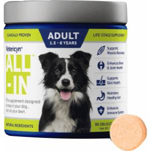Vetericyn All In Adult Dog Supplement