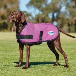 Weatherbeeta ComFiTec Classic Dog Coat - Pink - 10