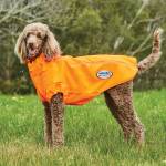 Weatherbeeta ComFiTec Active Dog Coat