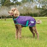 Weatherbeeta ComFiTec Premier Free Parka Dog Coat