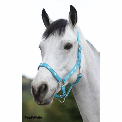 Saxon Dove Headcollar