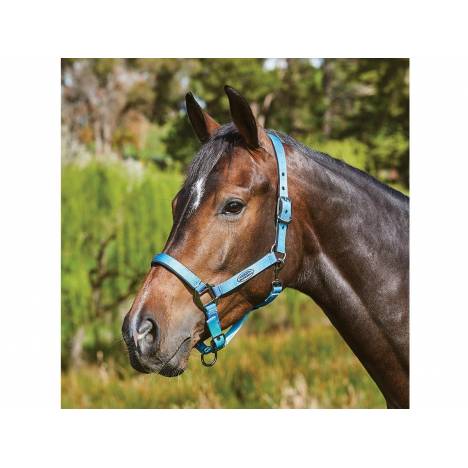 Weatherbeeta Prime Ombre Headcollar