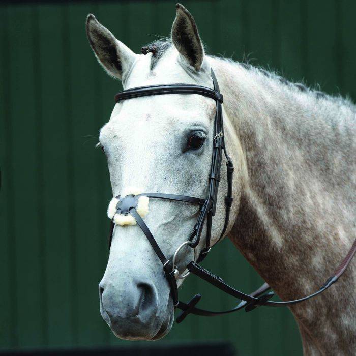 Collegiate Essential Padded Raised Figure 8 Bridle