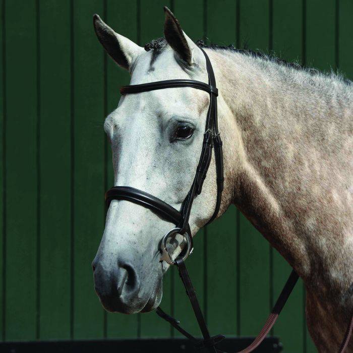 Collegiate Essential Padded Raised Cavesson Noseband 