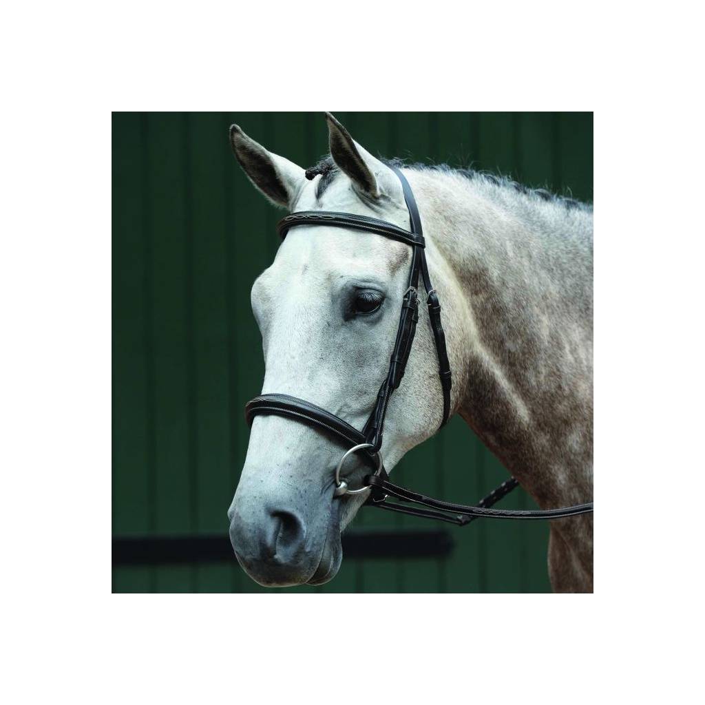Collegiate Essential Padded Raised Fancy Stitched Cavesson Bridle