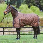 Saxon 600D Standard Neck Medium Turnout Blanket With Gusset II - Chocolate Brown/Rust Check - 66