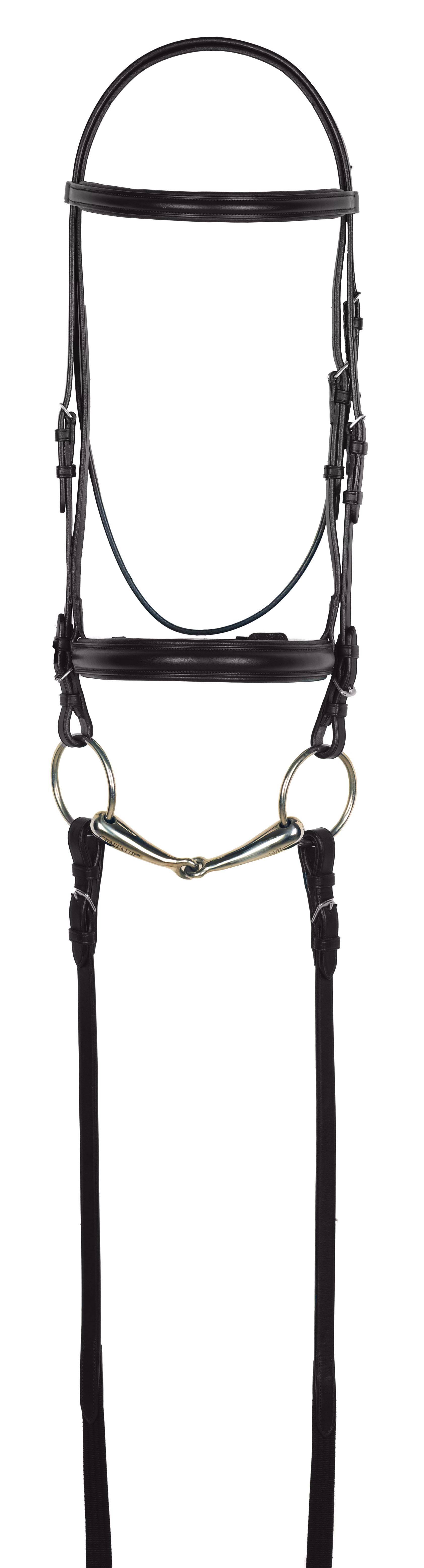 Aramas Plain Raised Padded Dressage Bridle with Web Reins