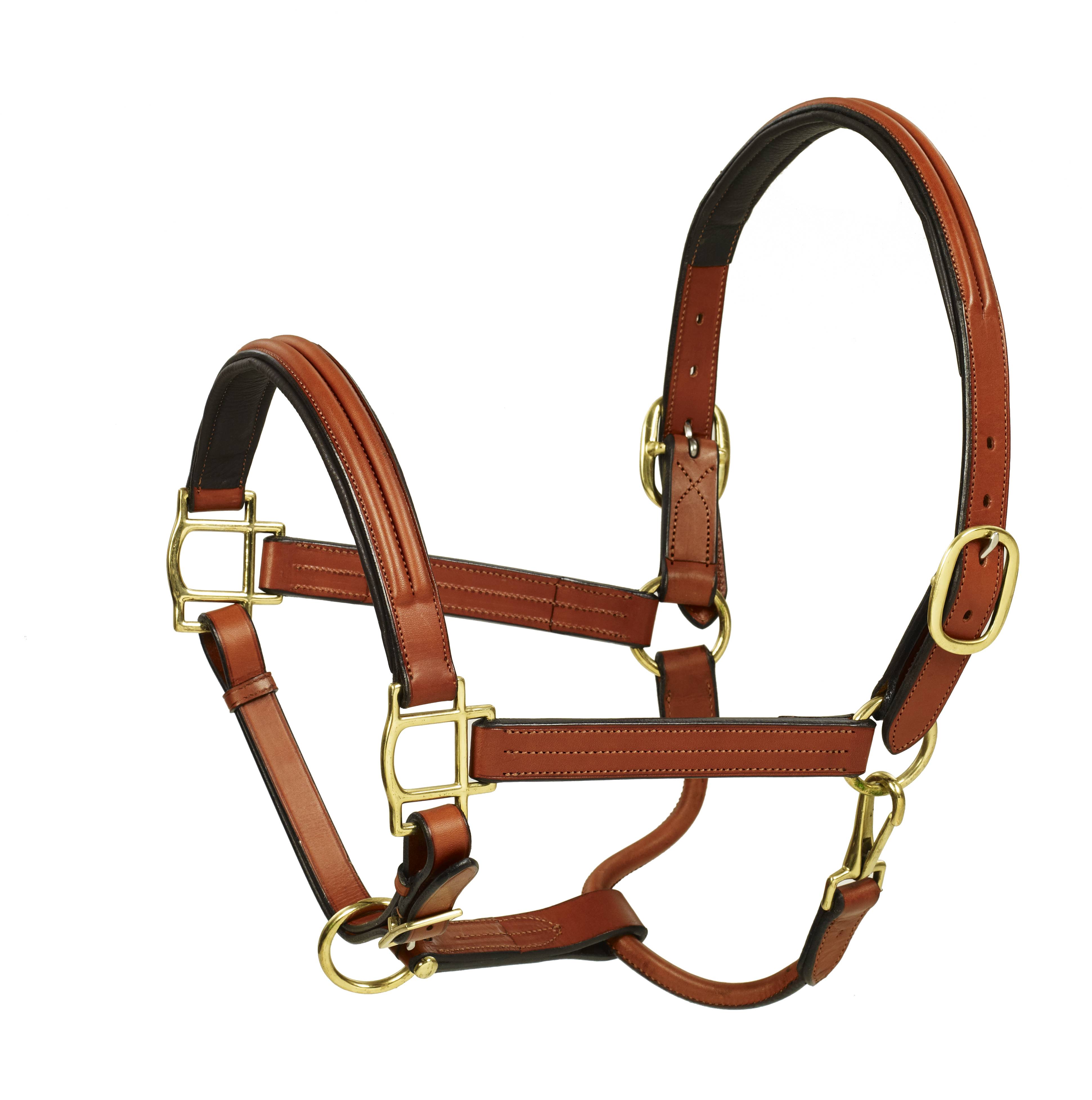 Aramas Double Raised Padded Halter- 1 Inch Wide