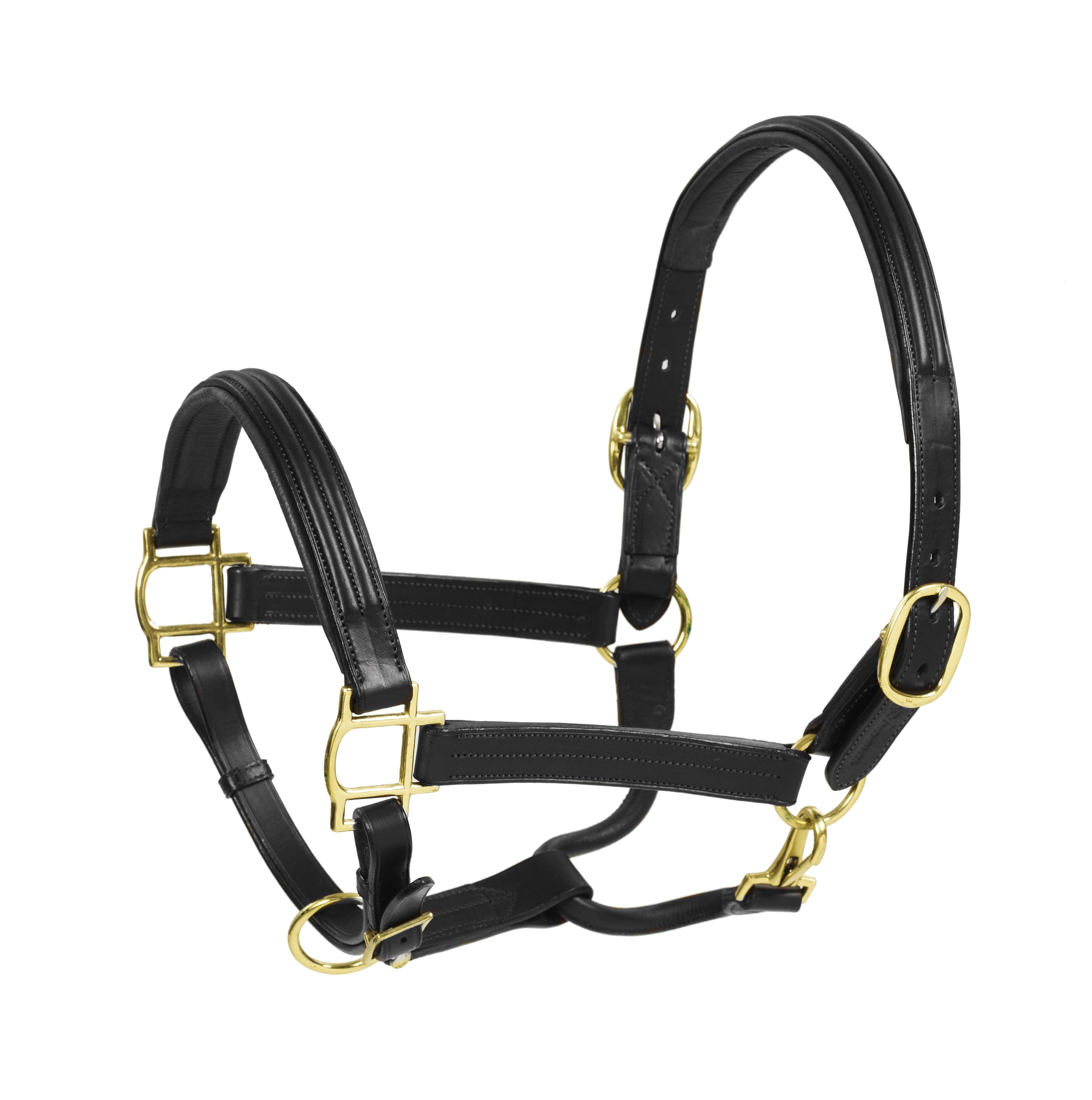 Aramas Double Raised Padded Halter- 1 Inch Wide