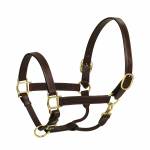 HK Americana Triple Stitched Leather Halter- 1 Inch Wide