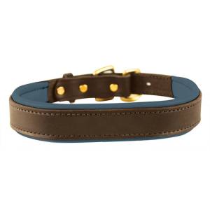 Perri's Padded Leather Dog Collar - Havana/Navy - Small