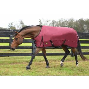 Gatsby 600D Waterproof & Breathable HW Turnout Blanket - GET 60% OFF on any $109 order