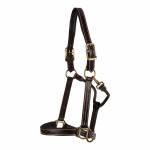 Huntley Equestrian Sedgwick Fancy Stitched Premium Leather Padded Halter
