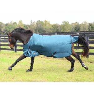 Gatsby Premium 1680D Waterproof Turnout Sheet - FREE Blanket Storage Bag with Purchase - Valued at $24.99