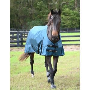Gatsby Premium 1680D Heavyweight Waterproof Turnout Blanket - FREE Blanket Storage Bag with Purchase - Valued at $24.99