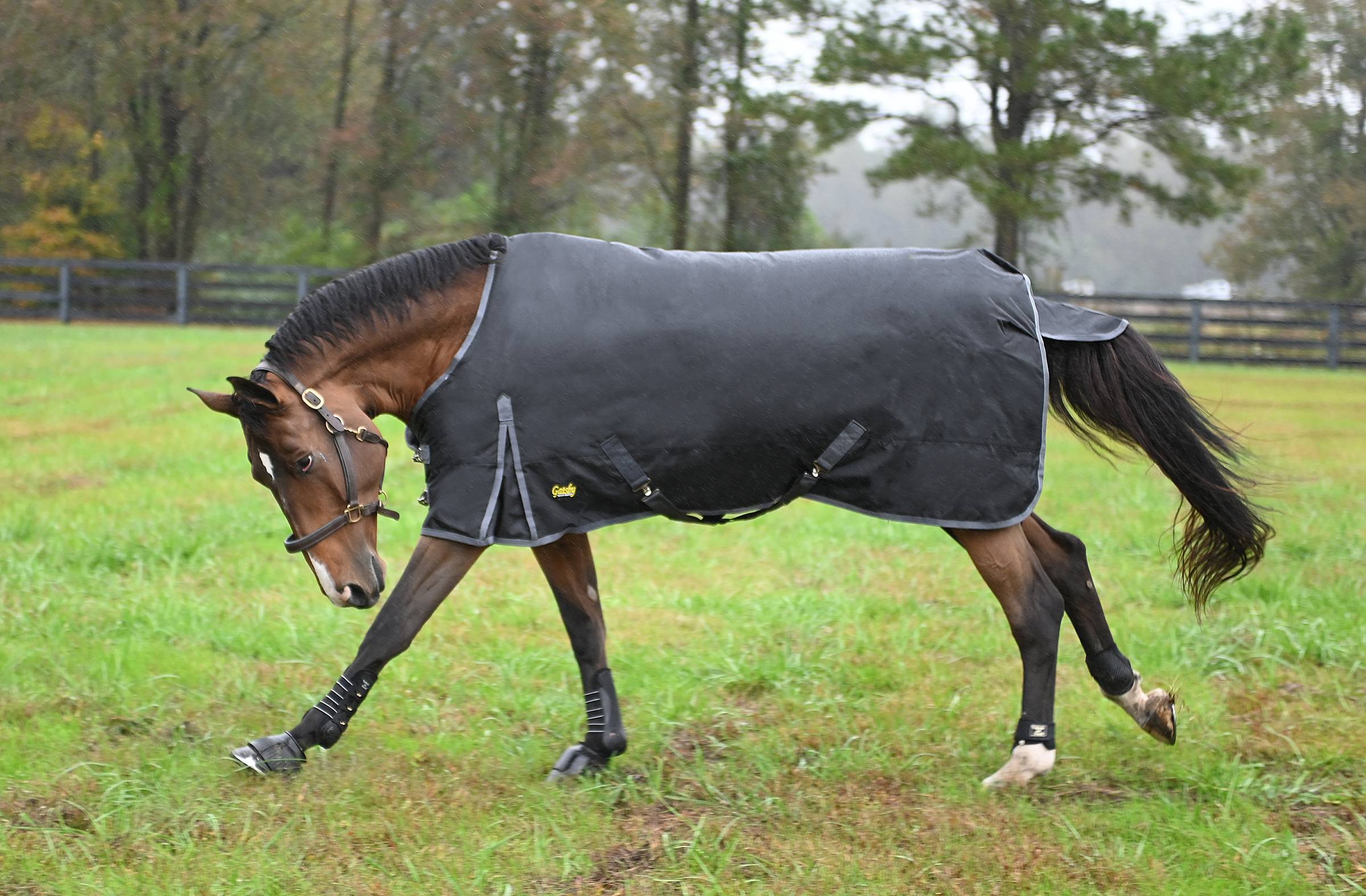 Gatsby Premium 1680D 250g Waterproof Turnout Blanket