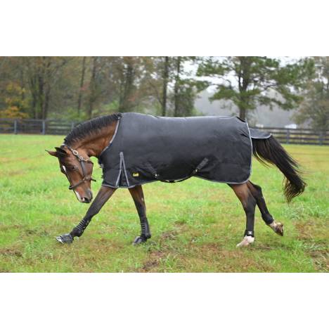 MEMORIAL DAY BOGO: Gatsby Premium 1680D Heavyweight Waterproof Turnout Blanket - YOUR PRICE FOR 2