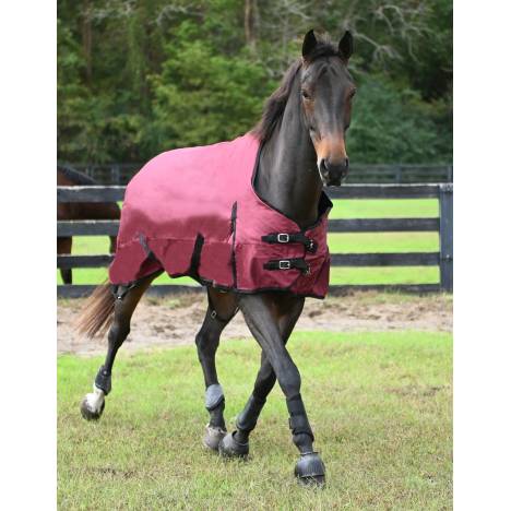 MEMORIAL DAY BOGO: Gatsby Premium 1200D Heavyweight Waterproof Turnout Blanket - YOUR PRICE FOR 2