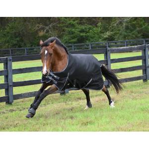 MEMORIAL DAY BOGO: Gatsby Premium 1200D Waterproof Turnout Sheet - YOUR PRICE FOR 2