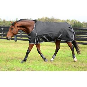 Gatsby Premium 1200D Heavyweight Waterproof Turnout Blanket - FREE Blanket Storage Bag with Purchase - Valued at $24.99