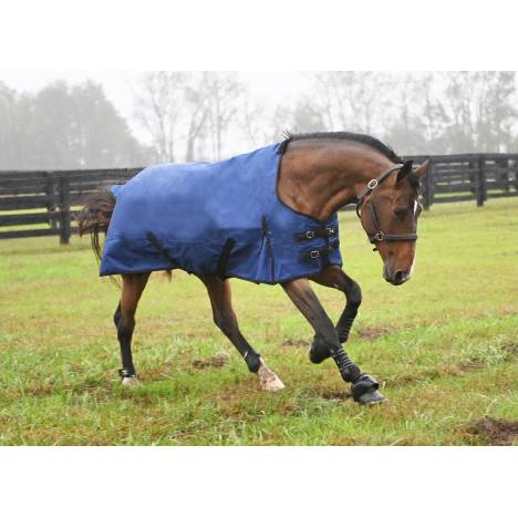 Gatsby Premium 1200D Waterproof Turnout Sheet