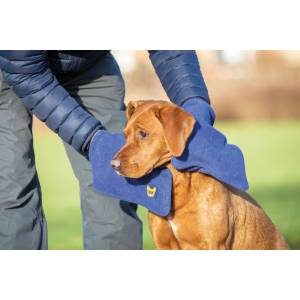 Shires Digby & Fox Dog Towel Glove