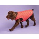 Shires Digby & Fox Padded Dog Coat
