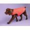 Shires Digby & Fox Padded Dog Coat