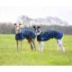 Shires Digby & Fox Softshell Greyhound Coat