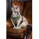 Shires Digby & Fox Tweed Dog Harness