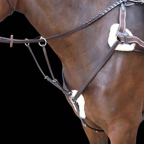 Shires Rossano Five Point Breastplate