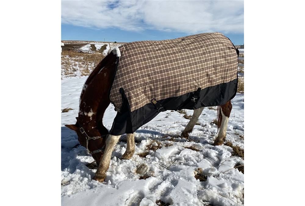 Baker Black Label 200G Medium Weight Turnout Blanket | HorseLoverZ