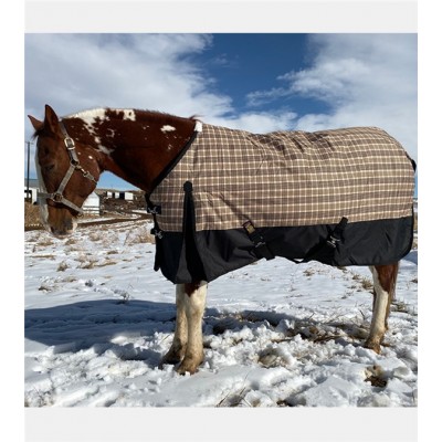 horse wearing a baker blanket