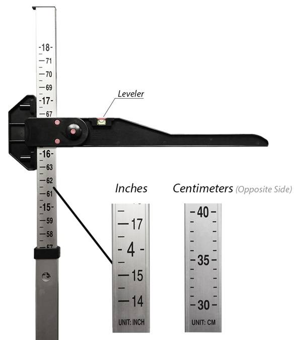 Jacks Horse Measure Stick