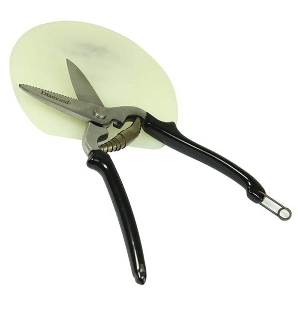 Diamond Pad Shears