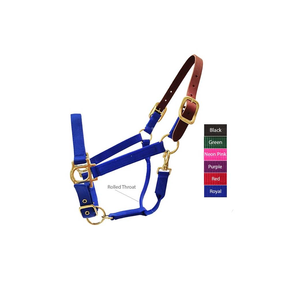 Valhoma Breakaway Halter