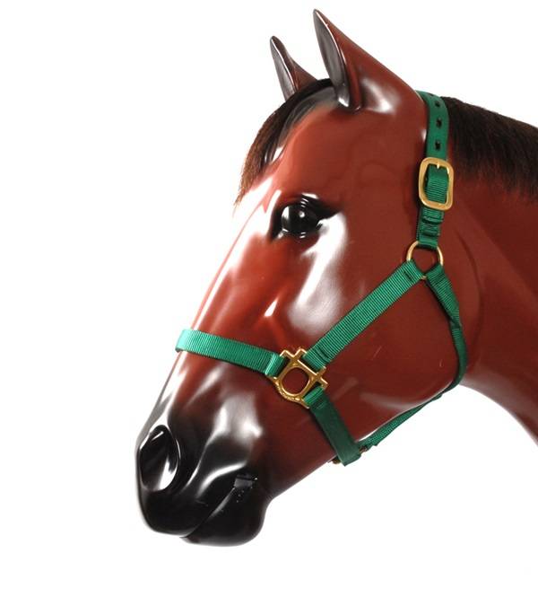 Valhoma "T" Halter