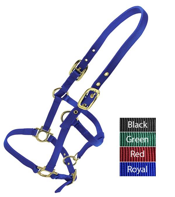 Valhoma Weanling Halter