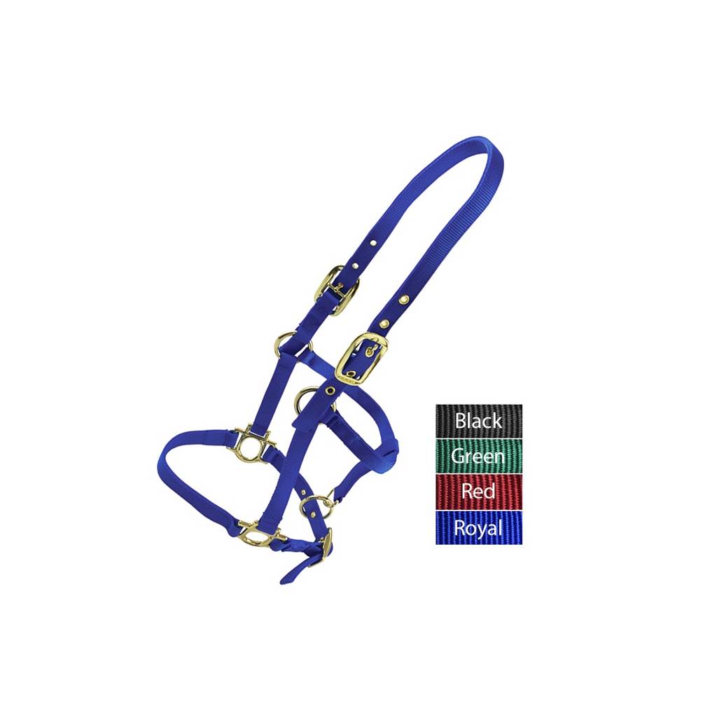 Valhoma Weanling Halter