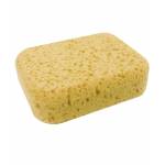Jacks Mitts & Sponges
