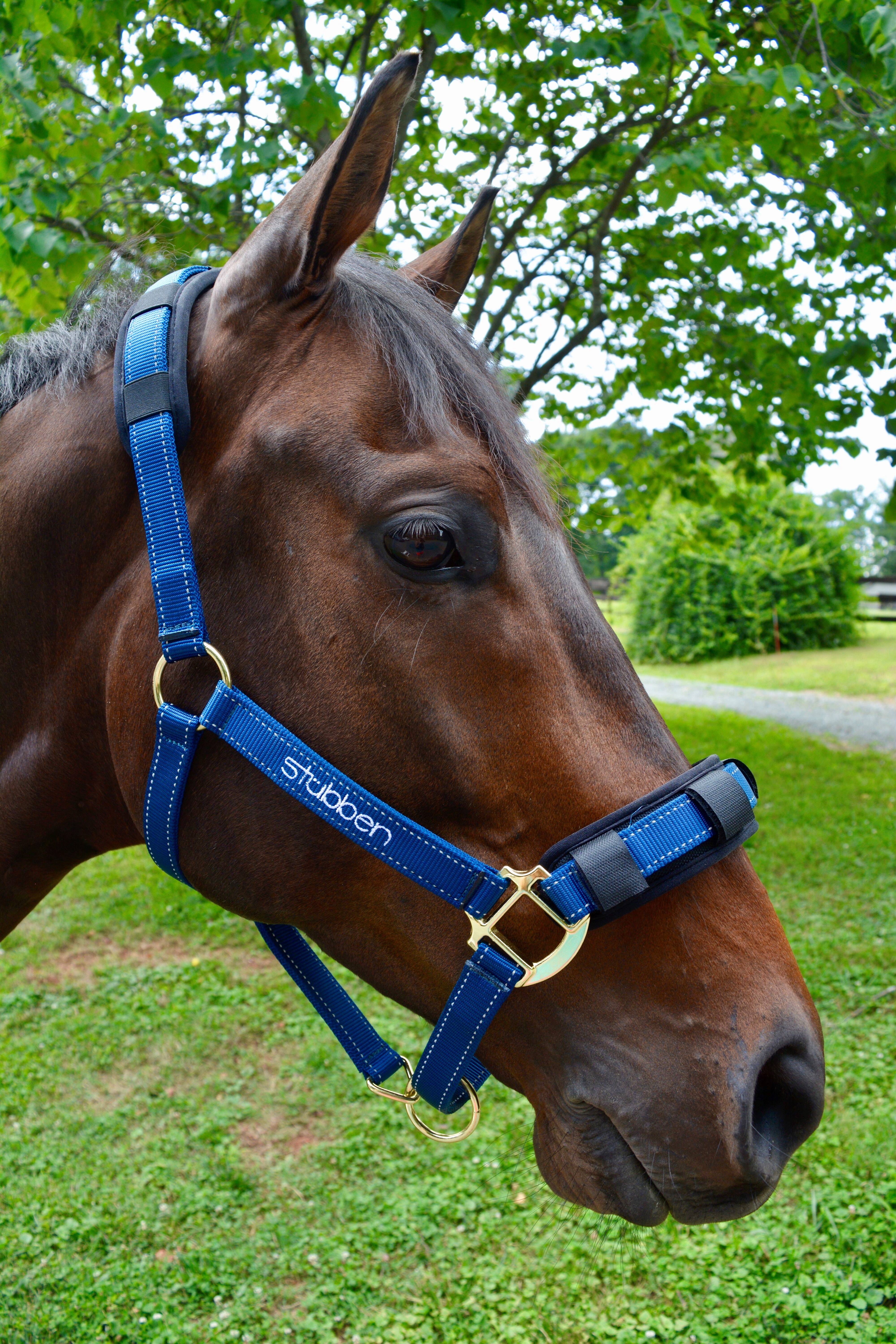 Stubben Reflective Stable Halter