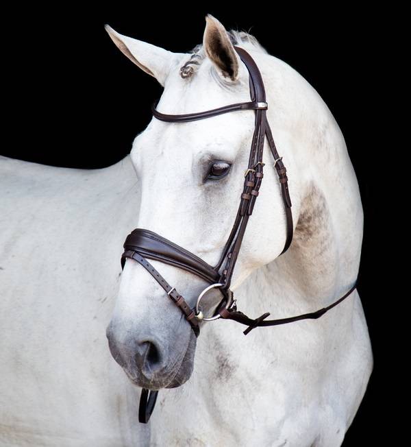 Stubben Switch Bridle