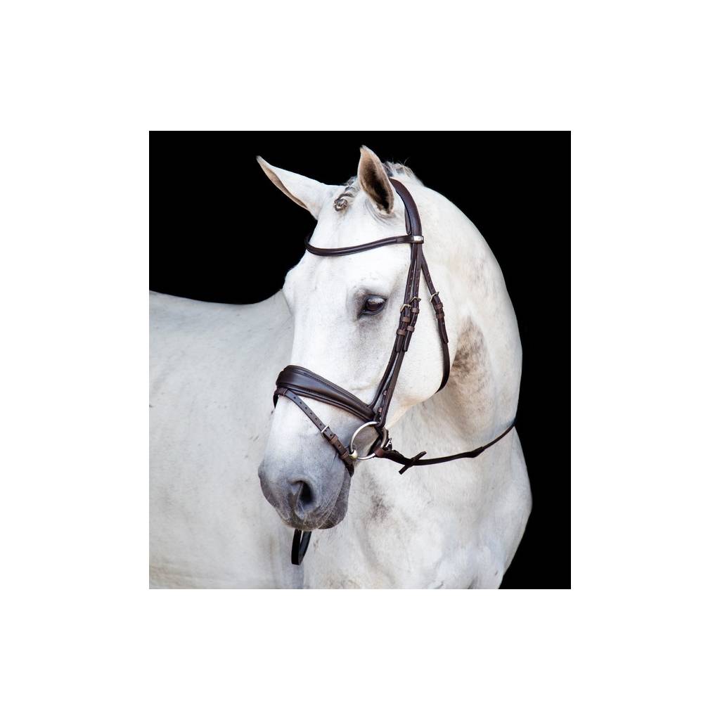 Stubben Switch Bridle