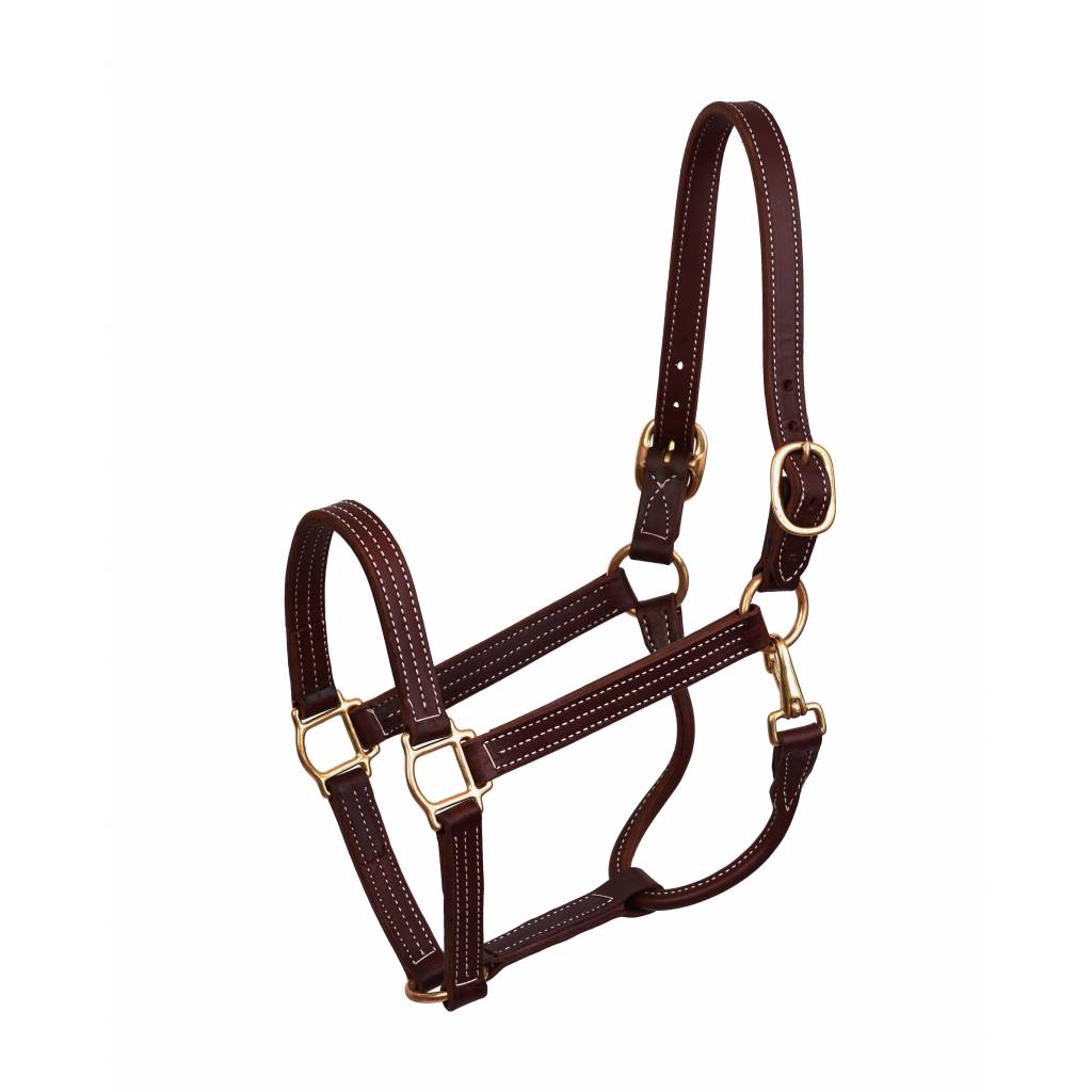 Perri's Professional Show Halter