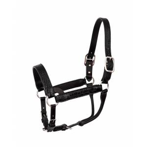 Horse Show Halters for sale