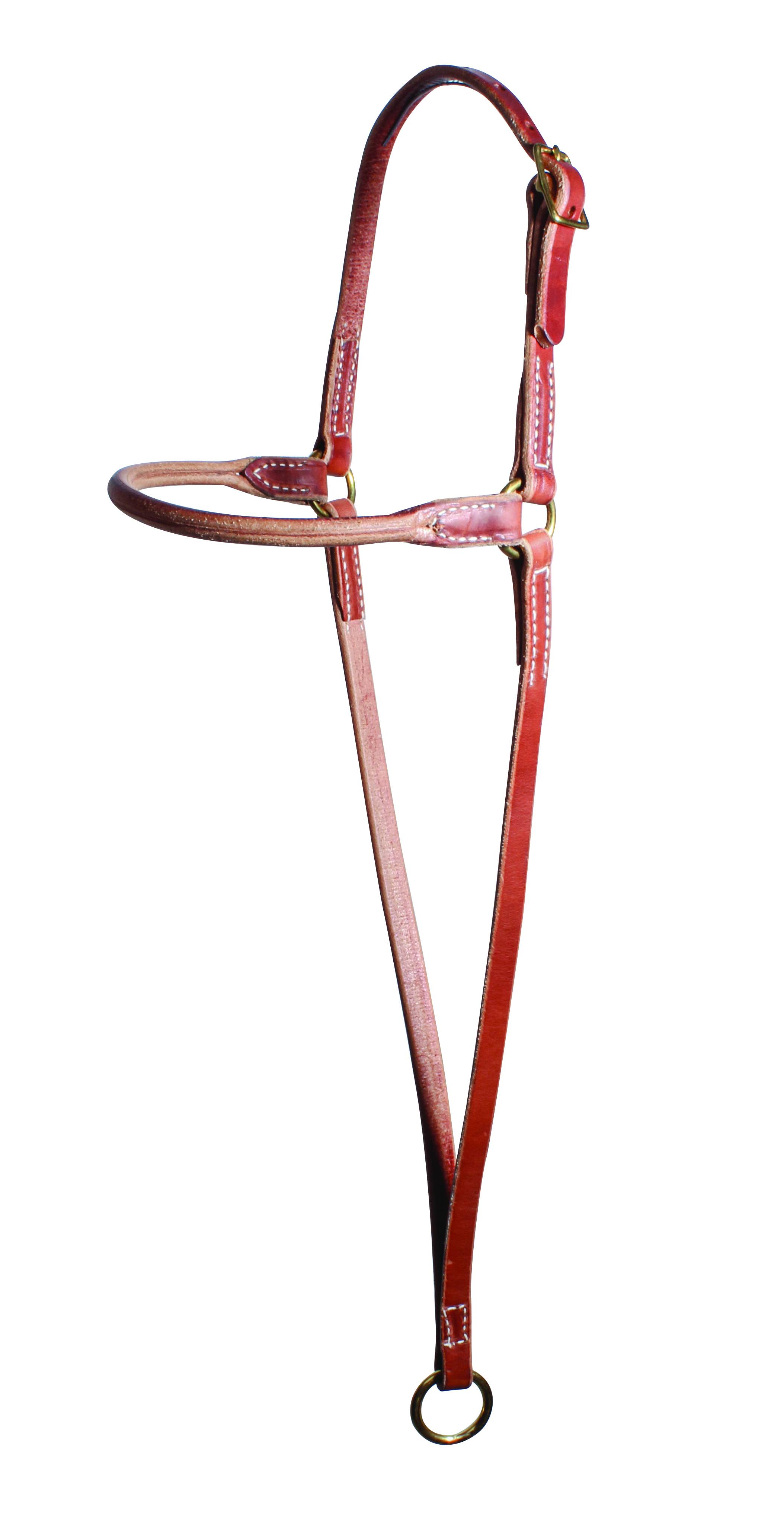 Professionals Choice Web War Bonnet