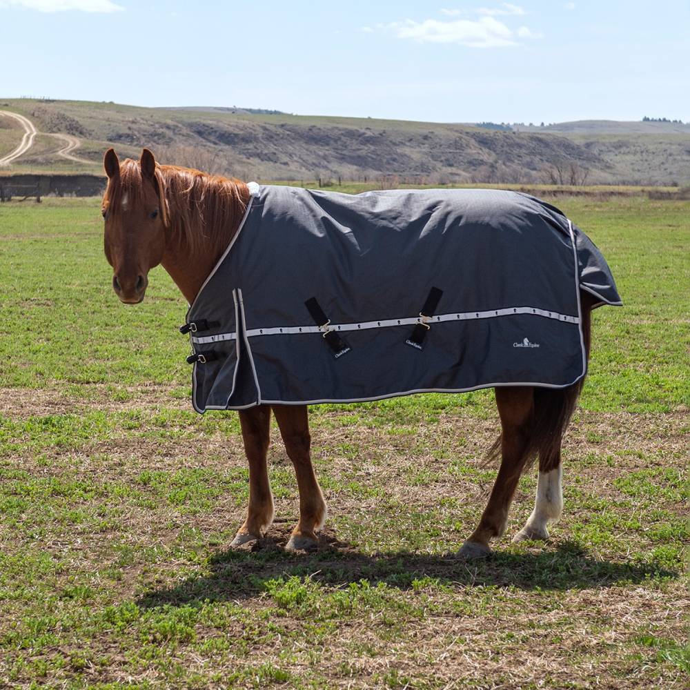 Classic Equine 5K Cross Trainer Blanket | HorseLoverZ