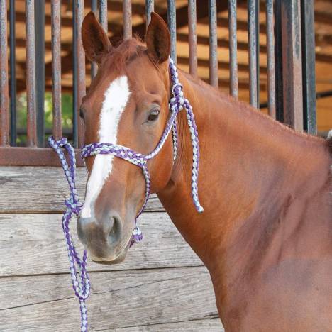 Classic Equine Braided Nylon Tape Halter with 8' Lead Rope