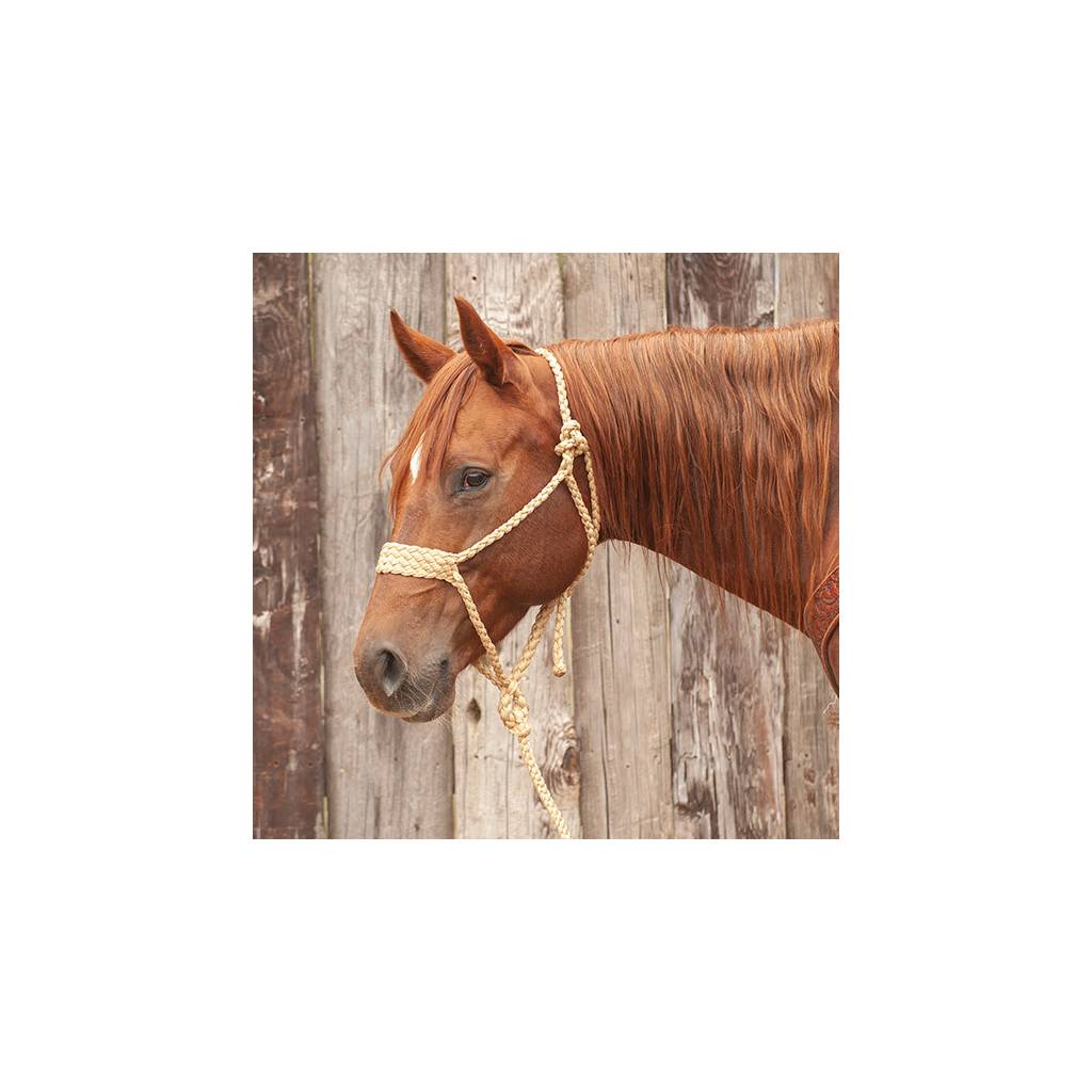 Classic Equine Braided Rope Halter Wide Nose with Lead