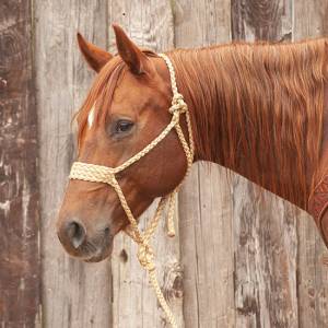 Classic Equine Braided Rope Halter Wide Nose with  Lead
